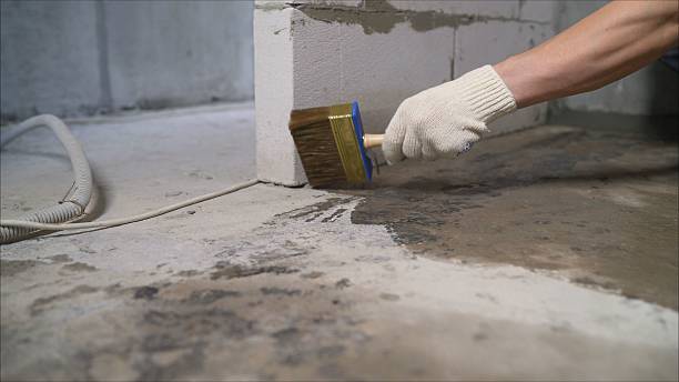 24/7 Emergency Wet Basement Repair experts in Manitou Beach, MI
